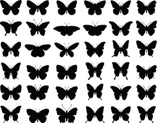 Obraz premium Silhouettes of butterflies 