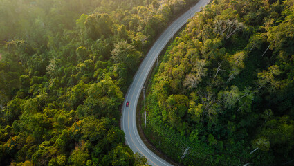 Aerial view of forest road and trees in the morning.