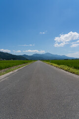 水田と田舎道