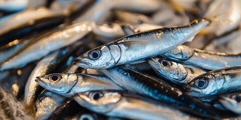 Fototapeta premium Fresh anchovies displayed in a bustling fish market, ready for sale. These anchovies are popular among seafood lovers and add flavor to various dishes, showcasing the versatility of anchovies.