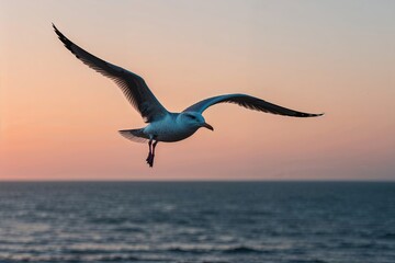 Naklejka premium Seagull Soaring at Sunset Over Peaceful Horizon