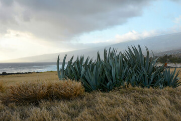 Paysage de l'île de la Réunion