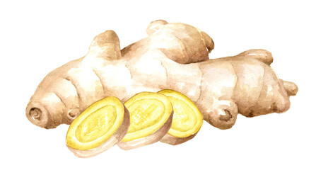 Fototapeta premium Ginger root with slices. Watercolor hand drawn illustration isolated on white background