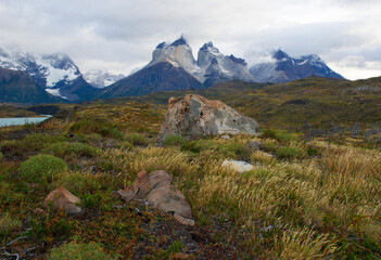 Fototapeta premium Torres del Paine national park