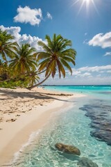 beach with palm trees and sea