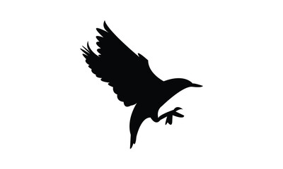 Fototapeta premium Flying Starling Bird Silhouette Design And Vector Illustration. 