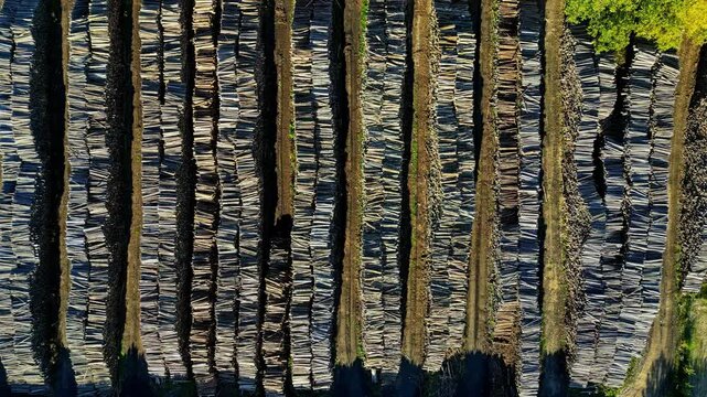 Lines of firewood drellite overview Top aerial