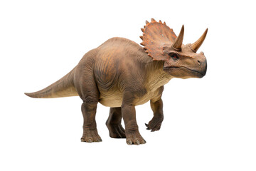 Fototapeta premium A dinosaur with three distinctive horns, a frilled neck, and a robust body, showcasing its unique prehistoric characteristics.
