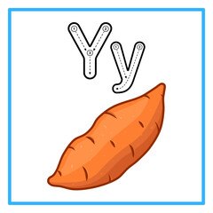 tracing alfabet fresh yam illustration © Rahmatullah