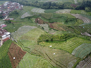 THE BEAUTY OF THE RURAL AND VEGETABLE AND FRUIT PLANTATIONS AT THE FOOT OF MOUNT SINDORO TEMANGGUNG...