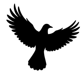 recommend clip art: Majestic silhouette of a bird soaring, freedom and elegance