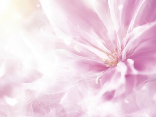 Fototapeta premium Delicate floral bloom nature scene abstract photography soft light environment close-up view serenity concept