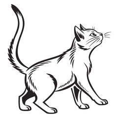 illustration of a cat