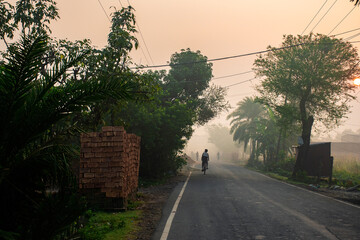 Beautiful Village Road at Sunrise in the Early Morning