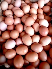 A group of photos of chicken eggs at the Wiradesa Pekalongan traditional market