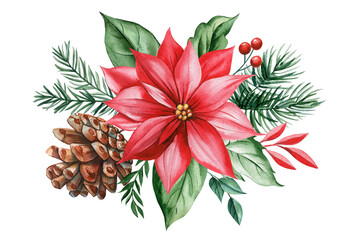 Fototapeta premium Poinsettia red flowers, pine cone, holly berries. Christmas botanical design, festive watercolor, holiday arrangement