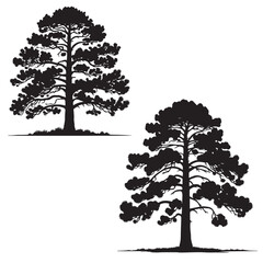  Ponderosa Pine  silhouette - vector of ponderosa - natural tree 