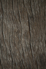 Fototapeta premium A textured close-up of natural wood grain with dark, earthy tones. Ideal for backgrounds, design elements, or rustic themes.