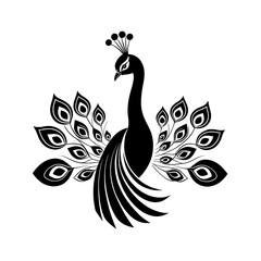 Fototapeta premium Majestic Peacock Silhouette 