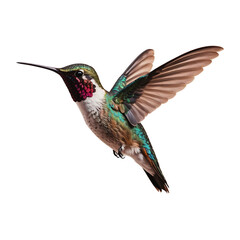 Obraz premium Photorealistic Hummingbird in Mid-Flight, Capturing Grace and Vibrancy