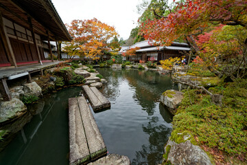 Fototapeta premium 飛び石のある紅葉に彩られた日本庭園