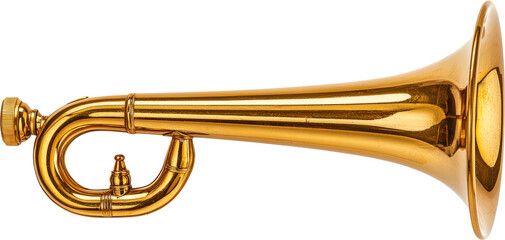 Shiny golden trumpet with elegant curves