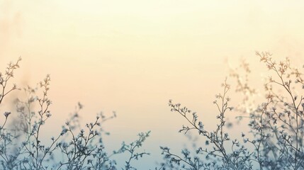 Fototapeta premium Frost-dusted branches against pastel sky