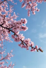 Cherry blossom branch in the distance against a clear blue sky , soft focus photography, blue sky with white clouds