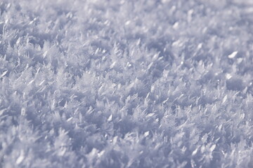 Obraz premium background