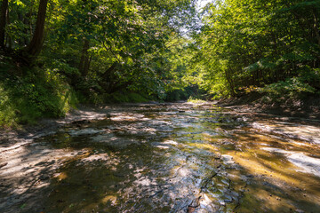 Obraz premium Wintergreen Gorge, Harborcreek Township, Erie County in the U.S. state of Pennsylvania
