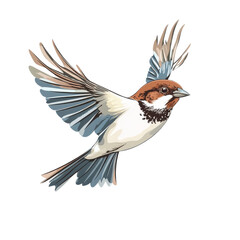Sparrow Flying Isolated on White Background Transparent png Background.