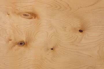 a sheet of plywood with the pattern texture of natural wood with knots knots. close up