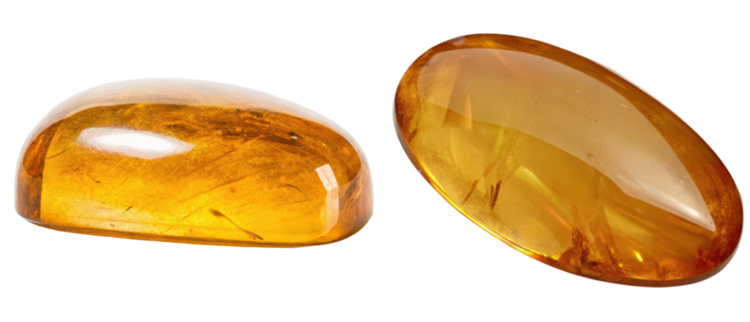 Two polished amber gemstones shaped like insects isolated with transparent background