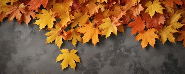 Vibrant orange and yellow maple leaves border , vibrant, orange, leafy