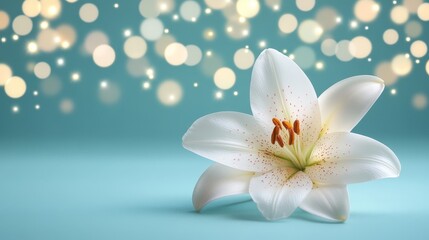 Fototapeta premium Elegant White Lily on Turquoise Close Up with Bokeh Lights, Minimalism and Tranquility