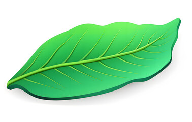 Obraz premium A single green tropical leaf on a white background