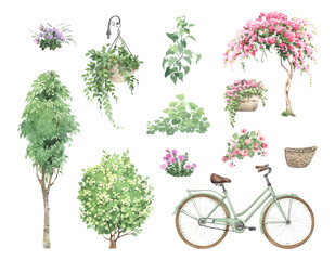 Floral set with green bicycle, wicker basket, blossom tree, flowers and plants. Cute watercolor isolated illustration for your floral design, garden or ecology project.