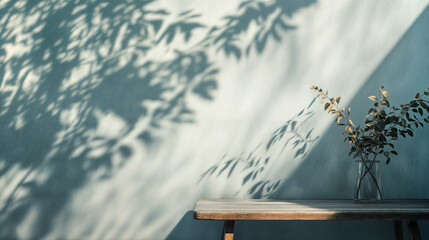 Shadows of leaves in a space illuminated by sunlight