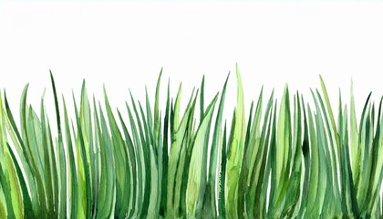 Fototapeta premium Grass watercolor illustration