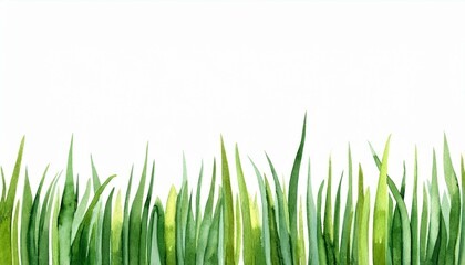Fototapeta premium Grass watercolor illustration