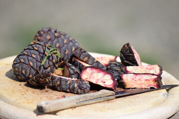 stone pine cones cut