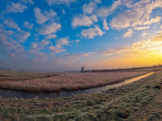 Dutch winter landscape with frozen reeds on the edge of the ponds. Cold morning with ice crystals on the surface of dry plants