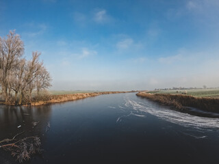 Dutch winter landscape with frozen reeds on the edge of the ponds. Cold morning with ice crystals on the surface of dry plants