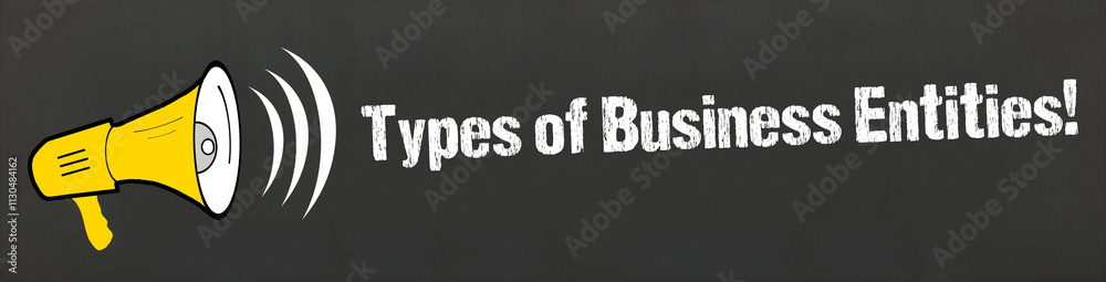 Sticker Types of Business Entities!