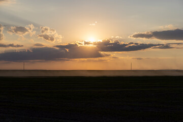 A rural field with green grass and other vegetation at sunset