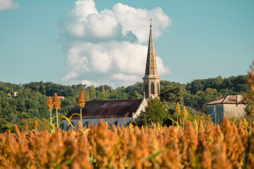 Eglise de village avec champ de céréales au premier plan