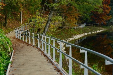 Obraz premium Wooden path in the forest with autumn trees in beautiful nature