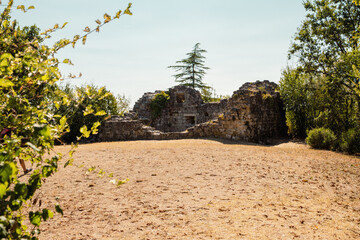 Fort en ruines entour&eacute; d'arbre
