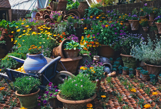  Pottery display at Chelsea