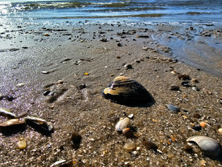 Obraz premium Am Strand von Blavand in Dänemark